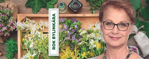 Iveta Henzelyová: Rok bylinkára Iveta Henzelyová: Rok bylinkára