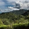Projekt Green Life – ochrana dažďových pralesov