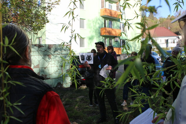 Umenie v Trenčíne - Soblahovská